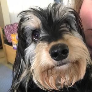 Meet your Posher, Tracy